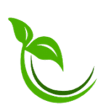 صندوق نوآوری و شکوفایی